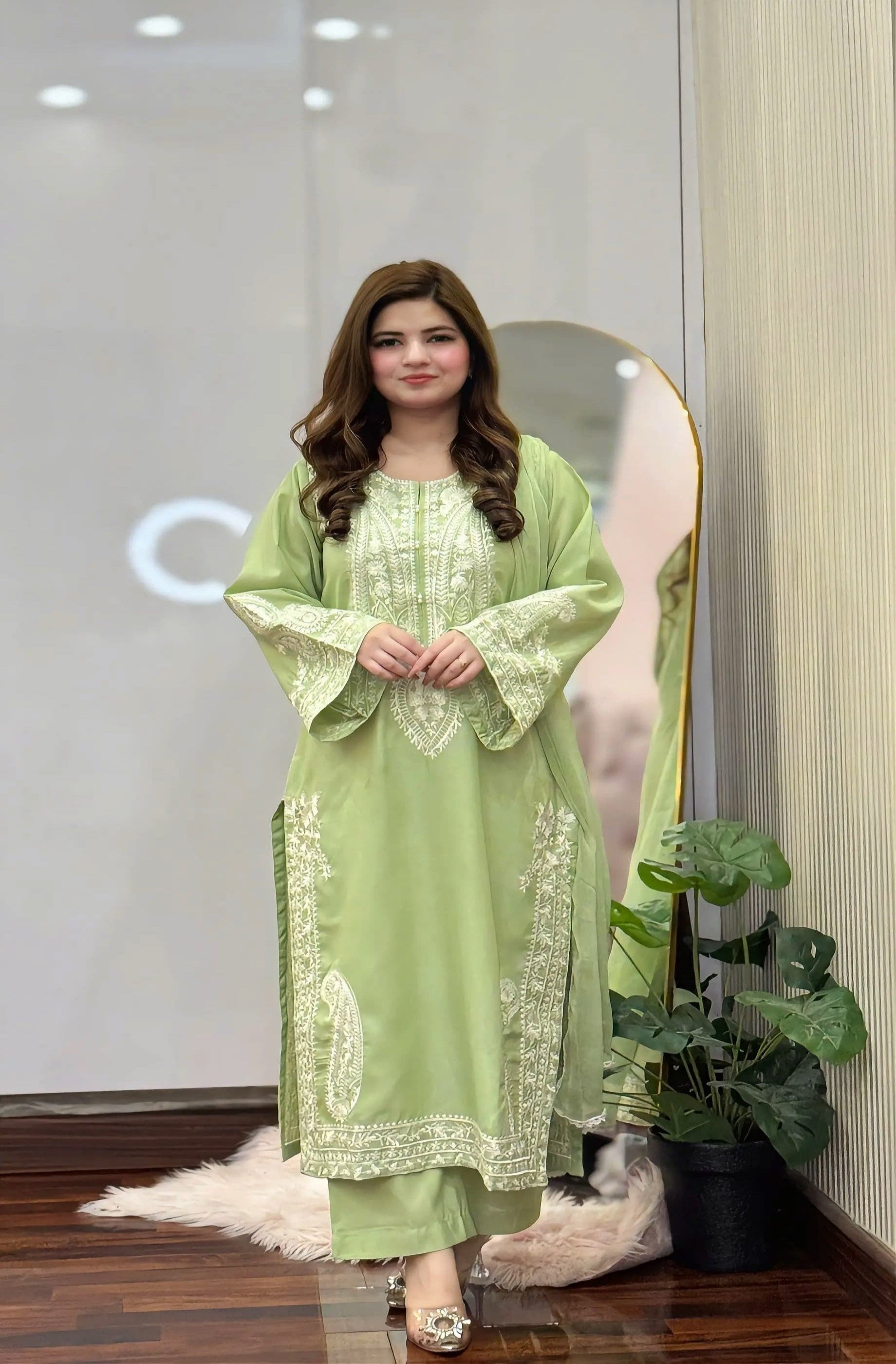 ladies dress